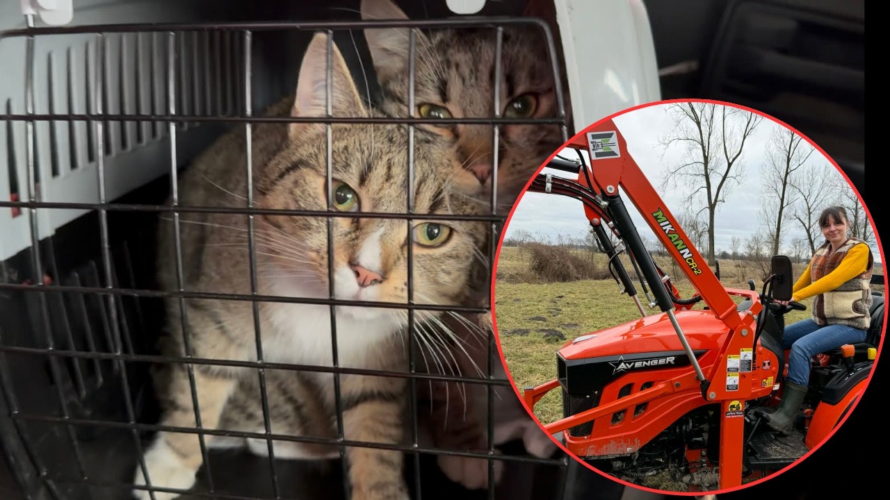 Test minitraktorka i koci szpital. Czy potrafimy coraz mniej?