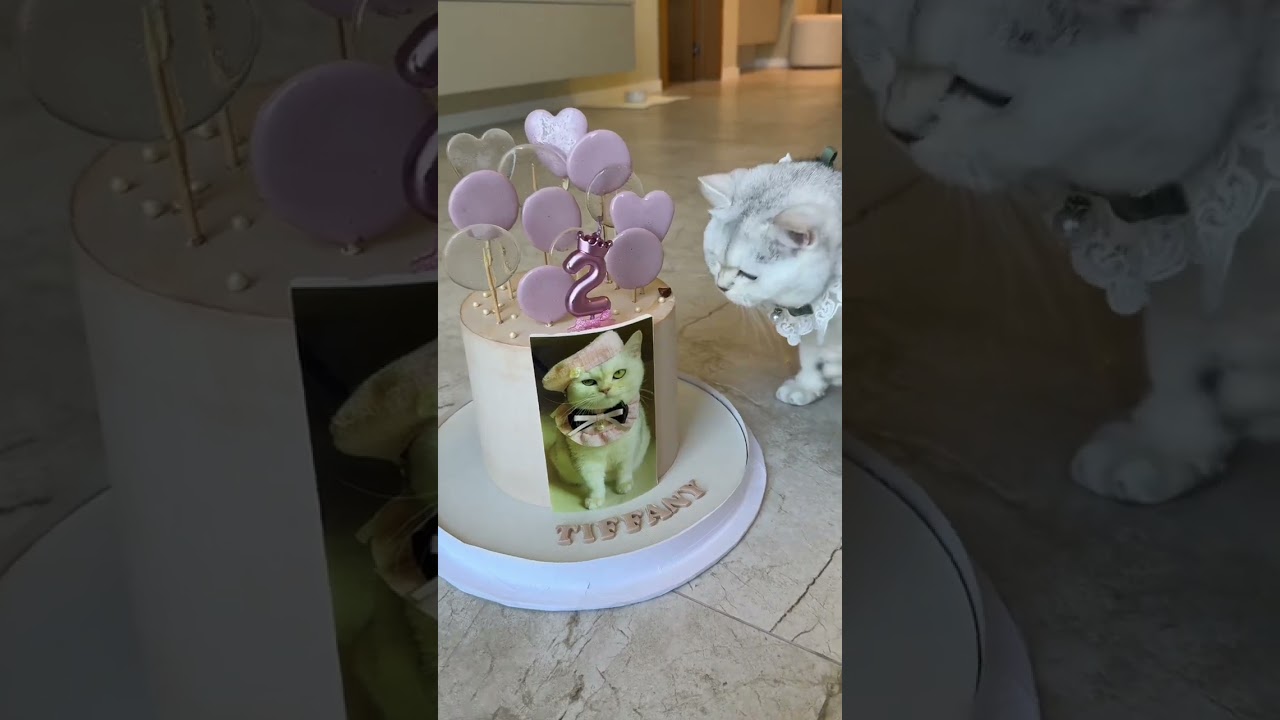 Сюрприз для Тиффани на день рождения