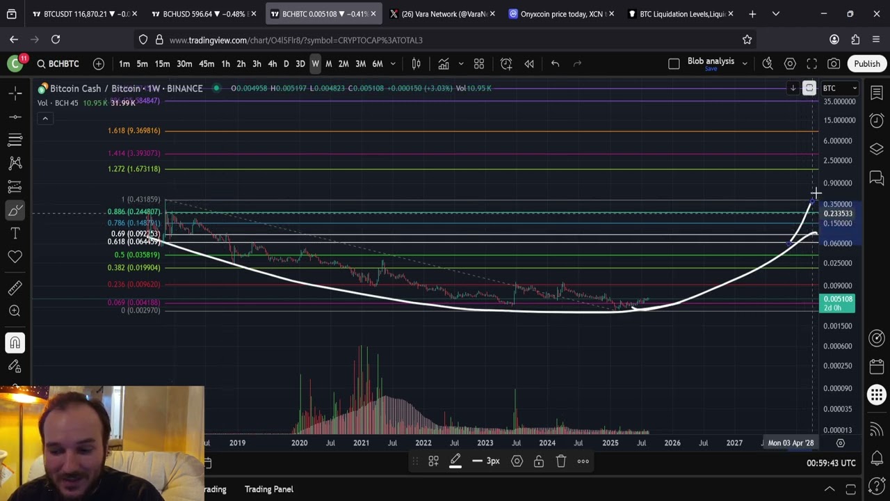 This Crypto Is About To Steal The Spotlight: Bitcoin Cash BCH