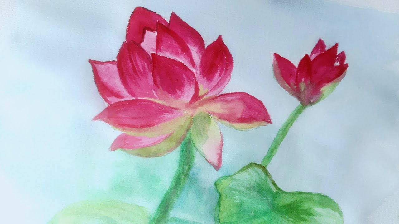 How to draw lotus flower | watercolour painting | easy drawing