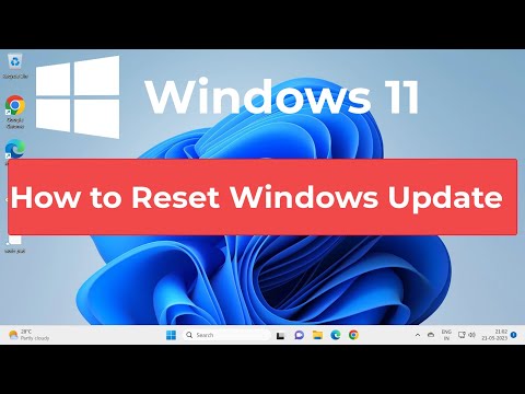 How to Reset Windows Update in Windows 11