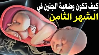 هكذا تكون وضعية الجنين في الشهر الثامن ومتى يأخد الجنين الوضعية النهائية  للولادة - YouTube