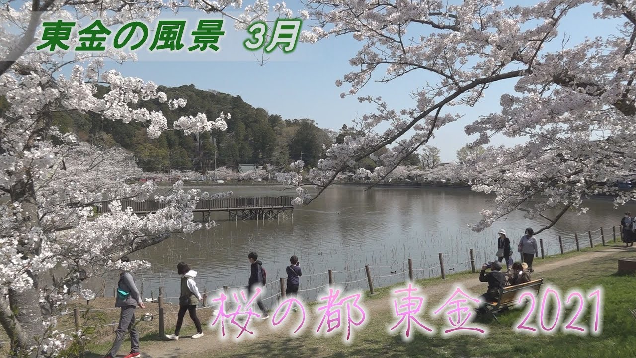 東金の風景 3月 桜の都 東金 21 3月27日撮影 Youtube