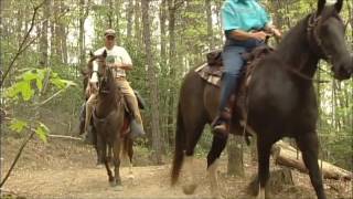 I Love My State Parks!