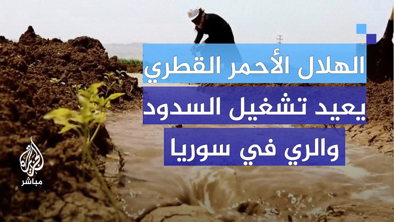 ما دور المنظمات الإنسانية في النهوض بالقطاع الزراعي في سوريا؟