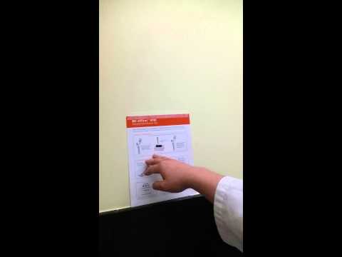 What Is Candida Spp In A Cytology | Candida Diet Eggs