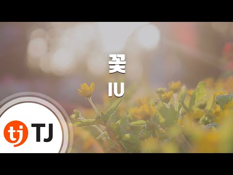 [TJ노래방] 꽃 - IU (Flower - IU) / TJ Karaoke