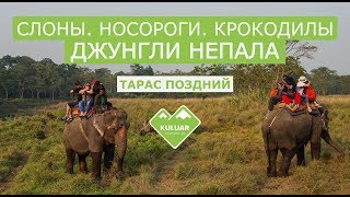 НОСОРОГ В ГОРОДЕ! Слоны, крокодилы в джунглях Непала! Поездка в ЧИТВАН!