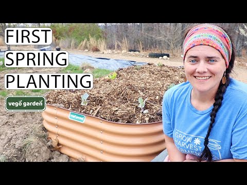 Spring Planting Homestead VLOG With Vego Garden Raised Bed | Fermented Homestead