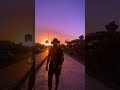 JED JEPSON WILD EGYPT