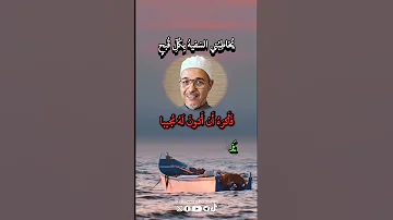 أجمل ما قال الإمام الشافعي مبروك زيد الخير الدكتور مبروك زيد الخير الشيخ مبروك زيد الخير 