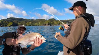 Soft bait haul SNAPPER + JOHN DORY NZ small boat fishing screenshot 5