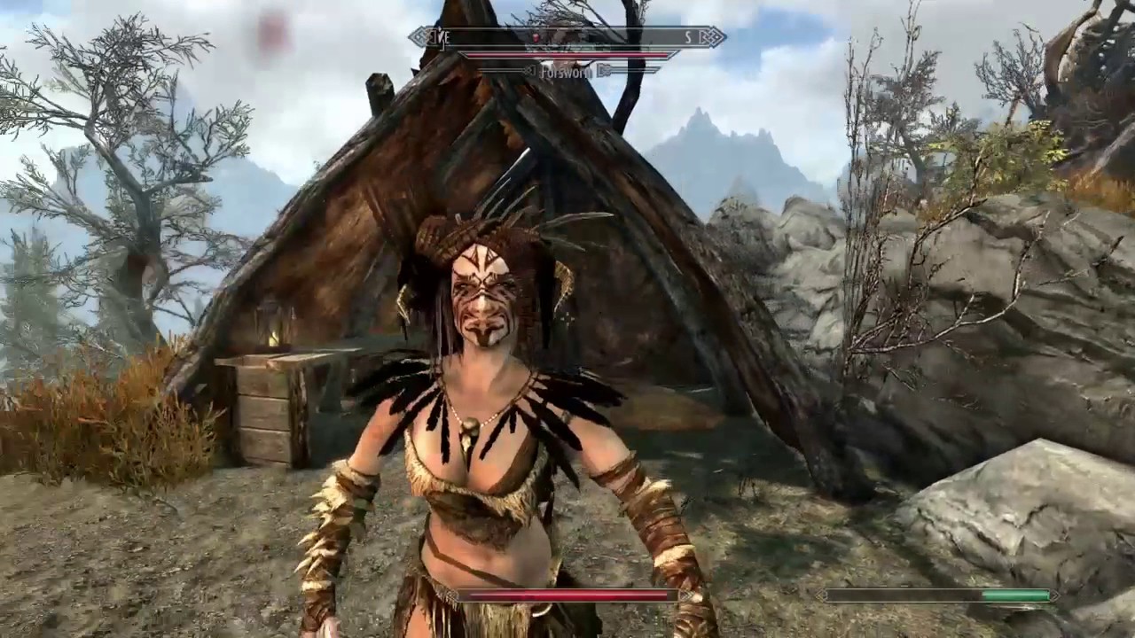 skyrim se ps4 pro skyrim se ps4 pro