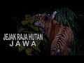 Rekam Sisa Jejak RAJA HUTAN Jawa | penelusuran Harimau
