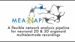 MEA-NAP: A network analysis pipeline for neuronal 2D and 3D organoid multielectrode recordings