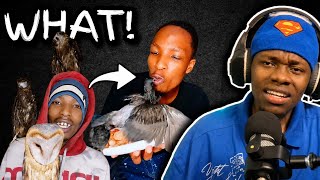 This is "BIRD MANNERS"...