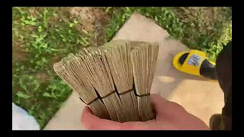 400 dollars in one dollar bills #shortsvideo