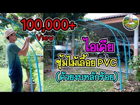 ไอเดียซุ้มไม้เลื้อย PVC ด้วยงบหลักร้อย Ep.1 | สวนผักพ่อครัว