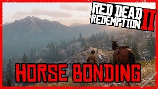 Bonding With Your Horse - Red Dead Redemption 2 - Horse Guide