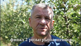 Финал 2 розыгрыша щенков