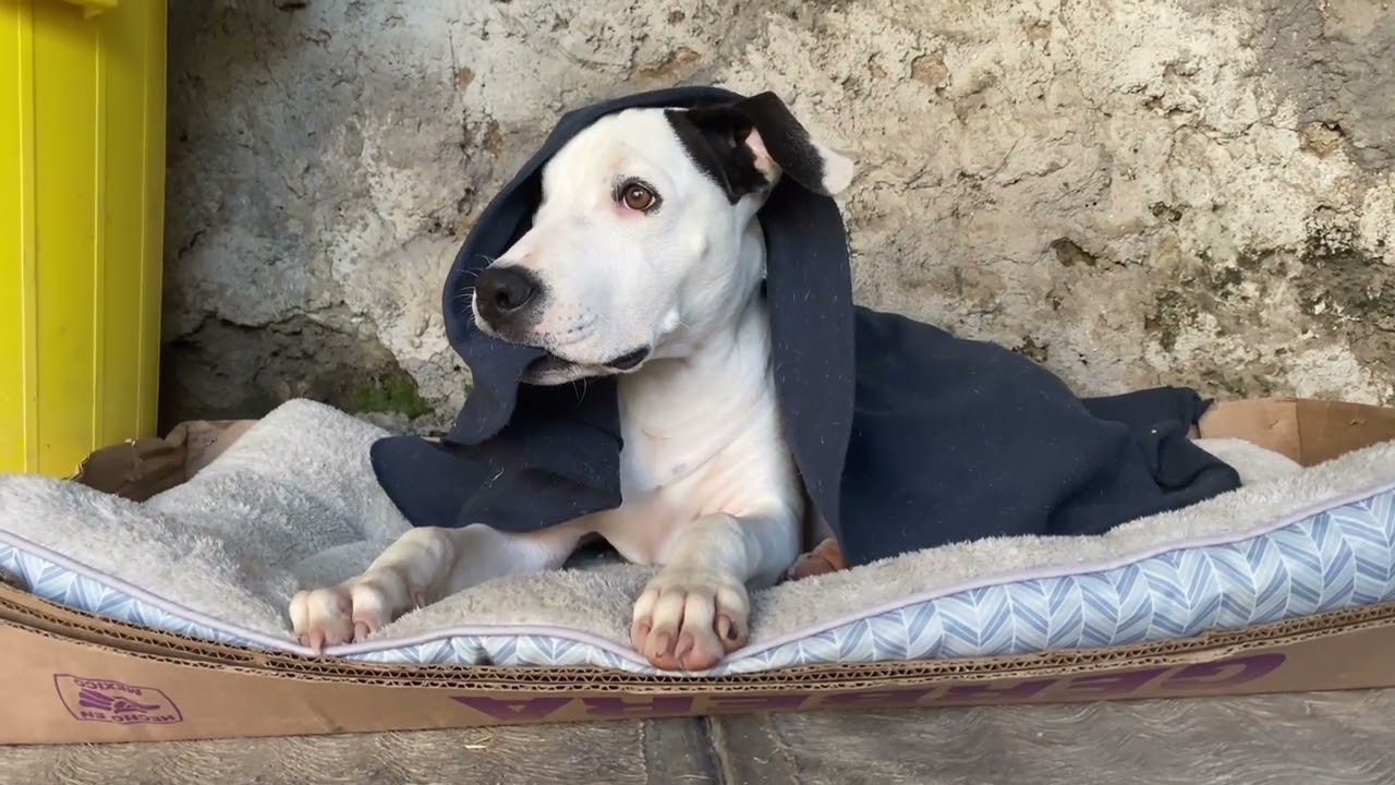 27 de octubre día de muertos