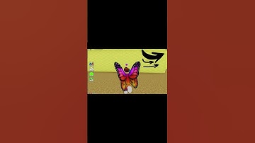 UPDATE - How To Find PINK RAINBOW TRAIN MORPH in Find The Backrooms Morphs #shorts