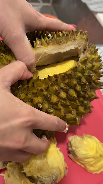 Can you open durian with no knife?