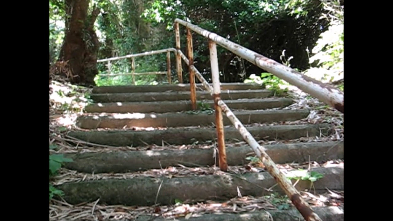 歩行動画　高島を歩く