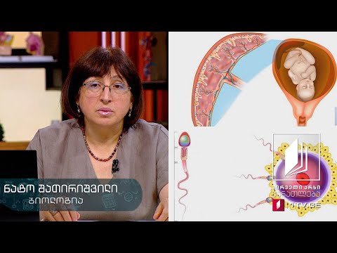 ბიოლოგია, VIII კლასი - ადამიანის გამრავლების ორგანოთა სისტემა #ტელესკოლა
