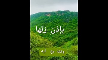 سورة. [إبراهيم: ٢٤]  القارئ الشيخ عبد العزيز الدبيخي .