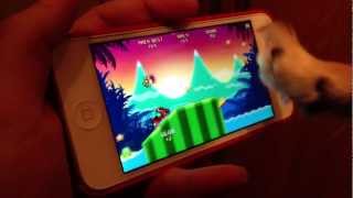 Chihuahua plays RAT ON A JET SKI screenshot 5
