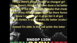 Snoop Lion - Tired of Running (feat. Akon) REINCARNATED screen lyrics