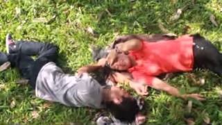 Download Lagu Fana band - Kabut Cinta MP3 Download Lagu Fana band - Kabut Cinta MP3