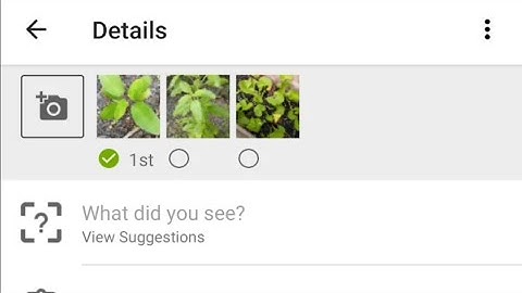 Ethnobotany 014h iNaturalist splitting a multiple species observation