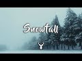 Snowfall | Winter Chill Mix