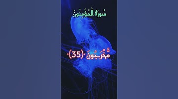 سورة المؤمنون 🤍🤲🏻 بصوت الشيخ ياسر الدوسري #القرآن_الكريم #اكسبلور #المغرب #تيك_توك#الجزائر #السعودية