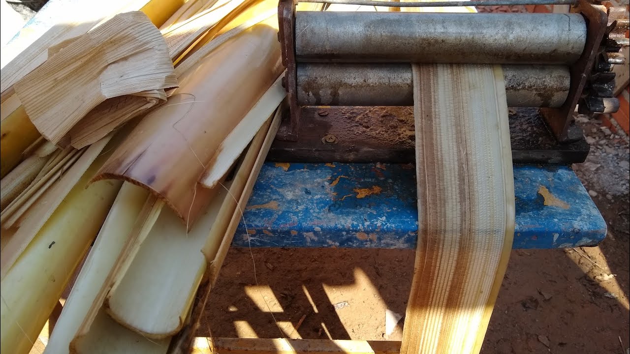 Preparando fibra de bananeira/Peça  imperdível/Faça você mesmo