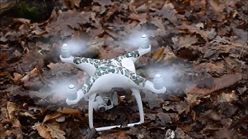 DJI Drone Tree Inspection Survey