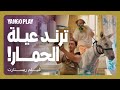 حمار خلاهم يطلعو ترند ويجيبو مشاهدات مقاطع فيلم ريستارت تامر حسني هنا الزاهد حمار خلاهم يطلعو ترند ويجيبو مشاهدات مقاطع فيلم ريستارت تامر حسني هنا الزاهد