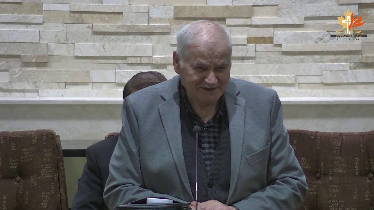 Vasile Hozan - Cei șapte stâlpi