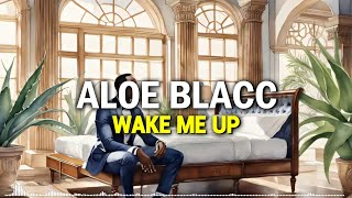 Avicii Ft. Aloe Blacc - Wake Me Up (SNEISEN REMIX) [FREE DOWNLOAD] Resimi