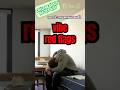 [HACK 6/20] Vibe Red Flags: What College Tours Don’t Show You #collegevisit #collegeplanning