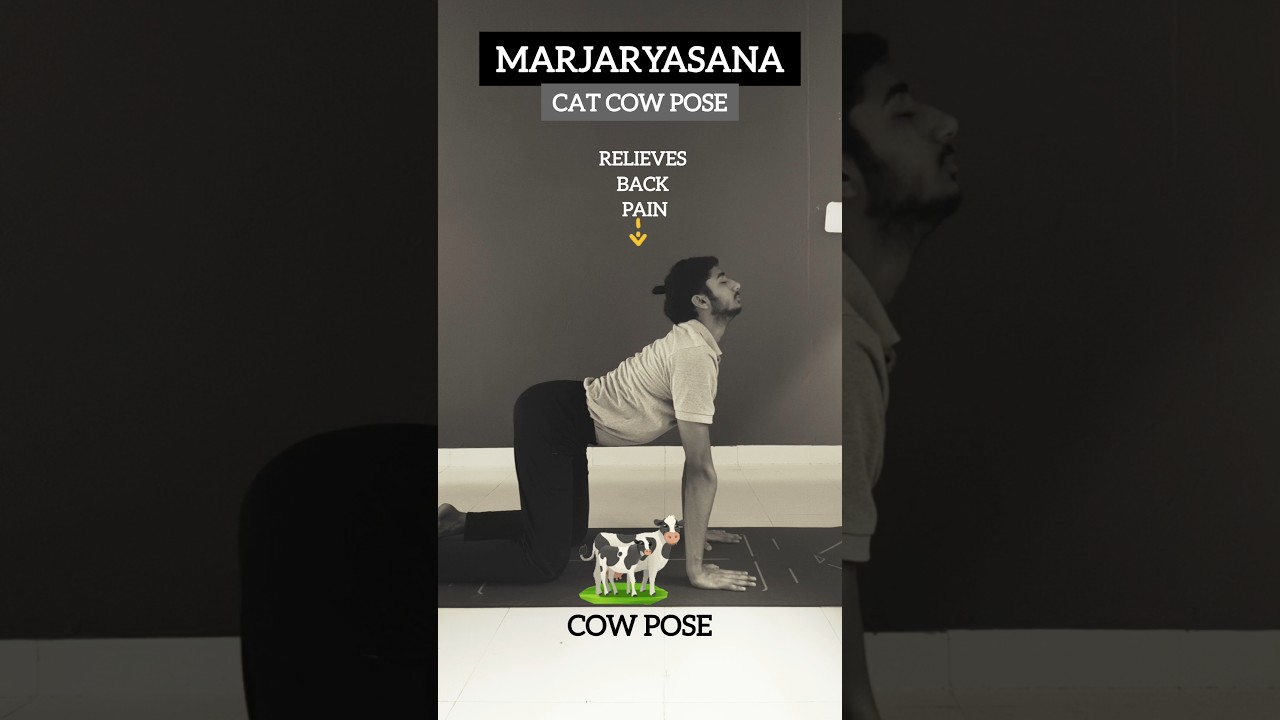 cat cow pose 
