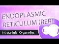 Intracellular Organelles- Rough Endoplasmic Reticulum (RER)