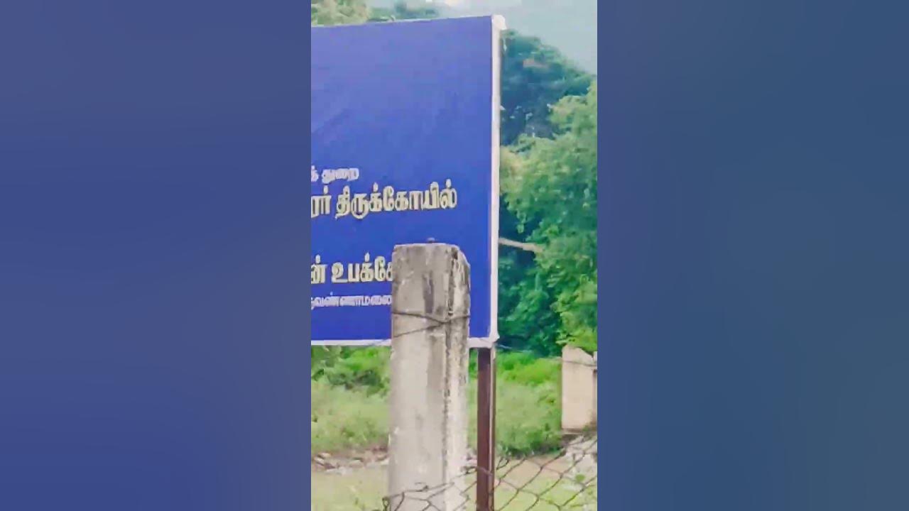 #Thiruvannamalai #09/08/25#nature #song