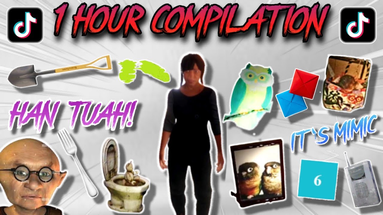 1 Hour Compilation - Rose Man TikTok | Phasmophobia