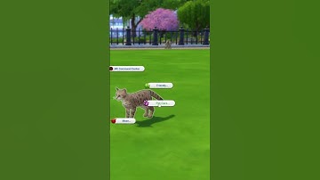 Check Out This Sims Pets Mod! #shorts #thesims #sims4