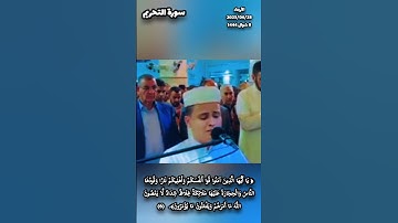 القرآن الكريم/سورة التحريم/عبد العزيز سحيم #quransurat #quranverse #الجزائر #تونس