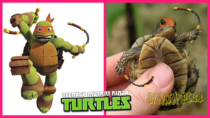 Teenage Mutant Ninja Turtles In Real Life  All Cha...