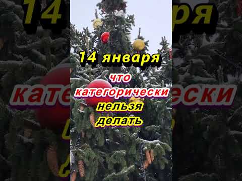 14 января народный праздник Васильев день, Обрезание Господне, Новый год: что нельзя делать #приметы